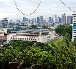 Blk 25 Marsiling Green (Woodlands), HDB 4 Rooms #478843071